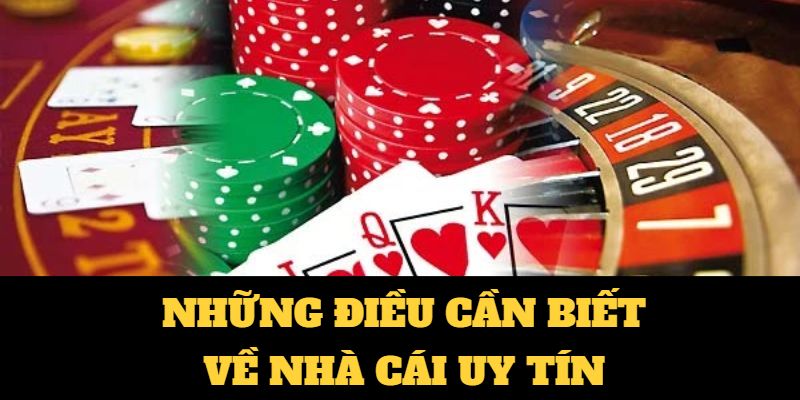 Thông Tin Chi Tiết 16 Sân Vận Động World Cup 2026